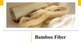 Bamboo Fiber
 