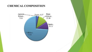 BAMBOO FIBRE.pdf