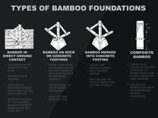 Bamboo | PDF