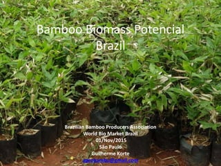 Bamboo Biomass Potencial
Brazil
Brazilian Bamboo Producers Association
World Bio Market Brazil
01/Nov/2015
São Paulo
Guilherme Korte
aprobambu@gmail.com
 