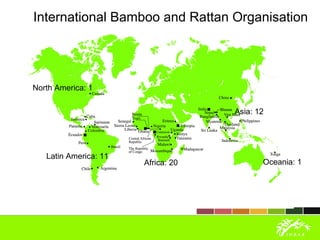 North America: 1
Asia: 12
Latin America: 11
Africa: 20 Oceania: 1
International Bamboo and Rattan Organisation
 