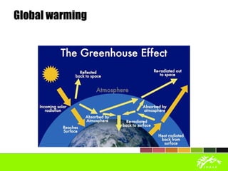 Global warming
 