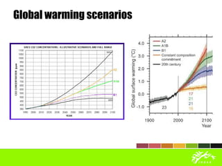 Global warming scenarios
 