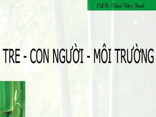 Bamboo - People - Environment