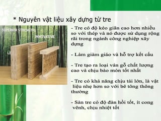Bamboo - People - Environment