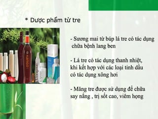 Bamboo - People - Environment
