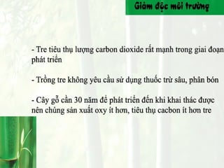 Bamboo - People - Environment