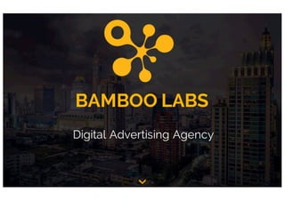 BAMBOO LABS
Digital Advertising Agency
 