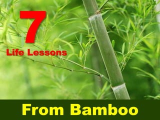 7
Life Lessons




   From Bamboo
 