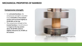 Bamboo Compressive Testing Graph Material properties and sustainability : Bamboo | PDF