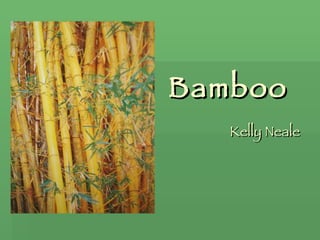 Bamboo Kelly Neale 