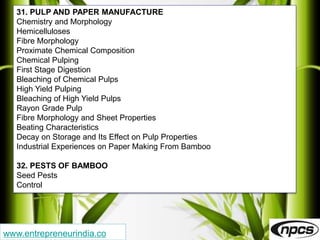 Rayon Grad Pulp Bamboo Plantation and Products, a Profitable Business | PPTX