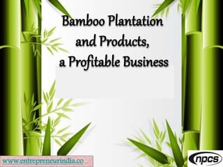 www.entrepreneurindia.co
Bamboo Plantation
and Products,
a Profitable Business
 