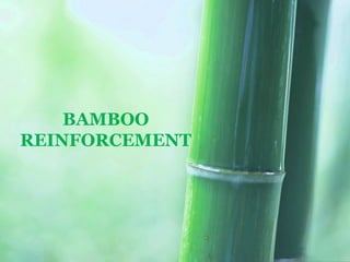 BAMBOO
REINFORCEMENT

 