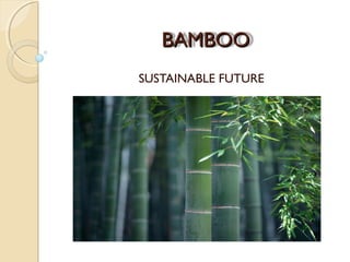 BAMBOOBAMBOO
SUSTAINABLE FUTURE
 