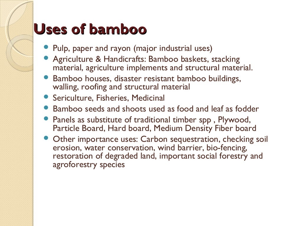 Bamboo & its uses