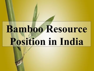 Bamboo Resource Position in India 