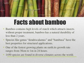Bamboo roofing sheets