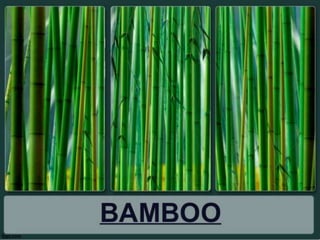 Bamboo roofing sheets