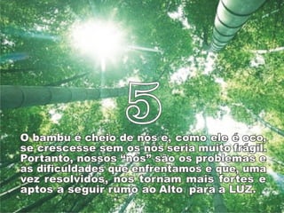 Bamboo%s lessons [p am]