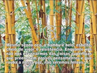 Bamboo%s lessons [p am]