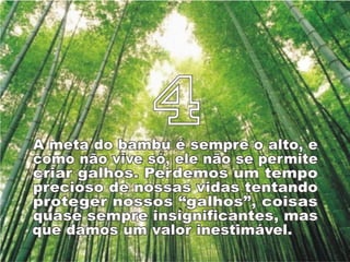 Bamboo%s lessons [p am]