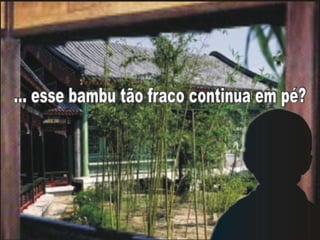 Bamboo%s lessons [p am]