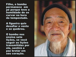 Bamboo%s lessons [p am]