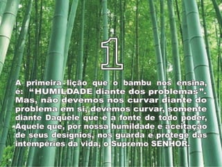 Bamboo%s lessons [p am]