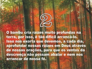 Bamboo%s lessons [p am]