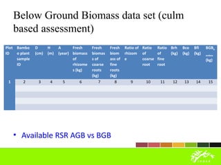 Bamboo stock assessment field measurment | PPT