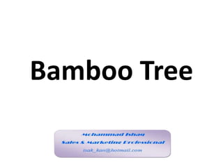Bamboo Tree
 