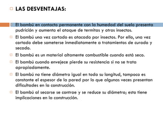 LAS DESVENTAJAS:  El bambú en contacto permanente con la humedad del suelo presenta pudrición y aumenta el ataque de termitas y otros insectos. El bambú una vez cortado es atacado por insectos. Por ello, una vez cortado debe someterse inmediatamente a tratamientos de curado y secado.  El bambú es un material altamente combustible cuando está seco. El bambú cuando envejece pierde su resistencia si no se trata apropiadamente.  El bambú no tiene diámetro igual en toda su longitud, tampoco es constante el espesor de la pared por lo que algunas veces presentan dificultades en la construcción.  El bambú al secarse se contrae y se reduce su diámetro; esto tiene implicaciones en la construcción.  