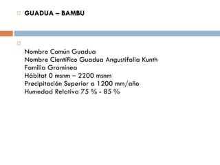 GUADUA – BAMBU Nombre Común Guadua Nombre Científico Guadua Angustifolia Kunth Familia Gramínea Hábitat 0 msnm – 2200 msnm Precipitación Superior a 1200 mm/año Humedad Relativa 75 % - 85 % 