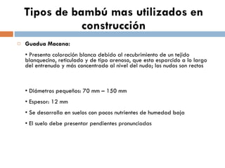 Tipos de bambú mas utilizados en construcción Guadua Macana: • Presenta coloración blanca debido al recubrimiento de un tejido blanquecino, reticulado y de tipo arenoso, que esta esparcido a lo largo del entrenudo y más concentrado al nivel del nudo; los nudos son rectos •  Diámetros pequeños: 70 mm – 150 mm • Espesor: 12 mm • Se desarrolla en suelos con pocos nutrientes de humedad baja • El suelo debe presentar pendientes pronunciadas 