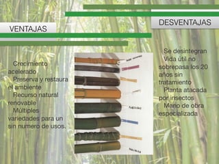 Crecimiento
acelerado 

Preserva y restaura
el ambiente 

Recurso natural
renovable 

Múltiples
variedades para un
sin numero de usos. 

!
VENTAJAS
DESVENTAJAS
Se desintegran 

Vida útil no
sobrepasa los 20
años sin
tratamiento 

Planta atacada
por insectos 

Mano de obra
especializada
 