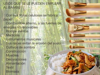 USOS QUE SE LE PUEDEN EMPLEAR
AL BAMBU 

!
Con sus ﬁbras celulosas se fabrica
papel 

Combustible alterno, a las fuentes de
energías no renovables 

Rompe vientos 

Medicina 

Instrumentos musicales 

Sus raíces evitan la erosión del suelo 

Cultivos de sombra 

Construcción 

Muebles 

Decoraciones 

Alimentación 

Textil 

Biomasa
 