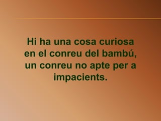 Hi ha una cosa curiosa
en el conreu del bambú,
un conreu no apte per a
impacients.
 