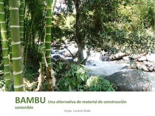 BAMBU Una alternativa de material de construcción
sostenible
Arqta. Lorena Nolte
 