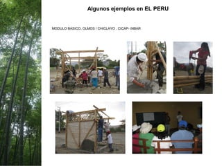 Algunos ejemplos en EL PERU
MODULO BASICO, OLMOS / CHICLAYO . CICAP- INBAR
 