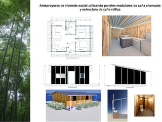 Anteproyecto de vivienda social utilizando paneles modulares de caña chancada
y estructura de caña rolliza
 