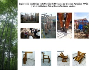 Experiencia académica en la Universidad Peruana de Ciencias Aplicadas (UPC)
y en el instituto de Arte y Diseño Toulouse Lautrec
 