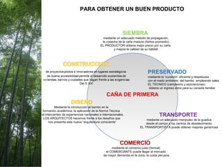 PRESERVADO
mediante la “curación” eficiente y respetuosa
con el medo ambiente, del bambú empleando sales
EL TECNICO (campesino y asociaciones)
obtiene un ingreso extra para su canasta familiar
TRANSPORTE
mediante un adecuado manipuleo de la guadua
desde el campo a los centros de abastecimiento
EL TRANSPORTISTA puede obtener mejores ganancias
COMERCIO
mediante el comercio justo (formal)
el COMERCIANTE puede llegar al mercado
de mayor demanda en la zona, la costa peruana
DISEÑO
Mediante la introducción al bambú en la
formación académica, la aplicación de la Norma Técnica
y el intercambio de experiencias nacionales e internacionales,
LOS ARQUITECTOS hacemos frente a los desafíos que
nos presenta esta nueva “arquitectura consciente”
SIEMBRA
mediante un adecuado método de propagación,
la cosecha de la caña madura (5años promedio)
EL PRODUCTOR obtiene mejor precio por su caña
y mejora la calidad de su hábitat
PARA OBTENER UN BUEN PRODUCTO
CAÑA DE PRIMERA
 