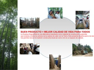 BUEN PRODUCTO = MEJOR CALIDAD DE VIDA PARA TODOS
La Guadua Angustifolia es una alternativa importante como material de construcción sostenible
que conecta a todos los actores de la cadena de valor con la Tierra. Esto presenta desafíos pero a la vez
nos permite renovar la tradición constructiva local así como vivir en un espacio de calidad.
 