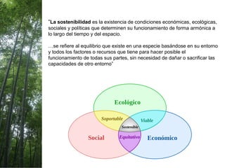 “La sostenibilidad es la existencia de condiciones económicas, ecológicas,
sociales y políticas que determinen su funcionamiento de forma armónica a
lo largo del tiempo y del espacio.
…se refiere al equilibrio que existe en una especie basándose en su entorno
y todos los factores o recursos que tiene para hacer posible el
funcionamiento de todas sus partes, sin necesidad de dañar o sacrificar las
capacidades de otro entorno”
 
