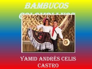 Bambucos
Colombianos



Yamid Andrés Celis
     Castro
 
