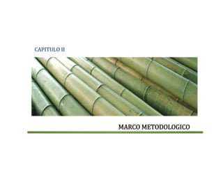CAPITULO II 
MARCO METODOLOGICO
 