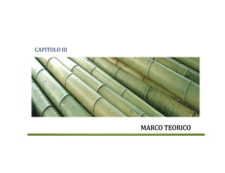 CAPITULO III 
MARCO TEORICO
 