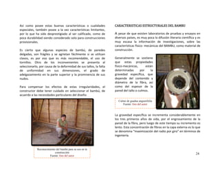 Así  como  posee  estas  buenas  cara
especiales,  también  posee  a  la  vez  c
por  lo  que  ha  sido  desprestigiado  al 
poc  durabilidad siendo considerado 
cterísticas  o  cualidades 
aracterísticas  limitantes, 
ser  calificado,  como  de 
solo para construcciones 
tor o
sel i de sus
de 
ade a
 
Para
con
acu d
 
 
 
 
 
 
CARACTERISTICAS ESTRUCTURALES DEL BAMBU 
 
a  gravedad  específica  se  incrementa  considerablemente  en 
os  tres  primeros  años  de  vida,  por  el  engrosamiento  de  la 
ared de la fibra, pero luego de este tiempo su incremento es 
ento. Esta concentración de fibras en la capa externa es lo que 
e denomina “maximización del radio por giro” en términos de 
ngeniería. 
a
provisionales. 
 
Es  cierto  que  algunas  especies  de  bambú,  de  paredes 
delgadas,  son  frágiles  y  se  grietan fácilmente  si  se  utilizan 
clavos,  es  por 
a  
eso  que  es  más  recomendable,  el  uso  de 
nill s.  Otro  de  los  inconvenientes  se  presenta  al 
c onarlo, por causa de la defoec rmidad     tallos, la falta 
uniformidad  en  sus  dimensiones,  el  grado  de 
lg zamiento en la parte superior y la  r inencia de sus p om
nudos. 
 
  ompensar  lo   efectos    estas  irregularidades,  el 
 debe
c s de
structor  tener cuidado en seleccionar el bambú, de 
er o a las necesidades particulares del diseño. 
 
 
 
 
 
 
A pesar de que existen laboratorios de pruebas y ensayos en 
diversos países, es muy poca la difusión literaria científica y es 
muy  escasa  la  información  de  investigaciones,  sobre  las 
características físico‐ mecánicas del BAMBU, como material de 
construcción. 
 
Generalmente  se  sostiene 
que  estas  propiedades 
físico‐mecánicas,  están 
determinadas  por  la 
gravedad  específica,  que 
depende  del  contenido  y 
diámetro  de  la  fibra,  así 
como  del  espesor  de  la 
ared p
 
del tallo o culmos.   
 
 
 
 
L
l
p
l
s
i
 
Culmo de guadua angustifolia
Fuente: foto del autor
Reconocimiento del bambú para su uso en la
construcción
Fuente: foto del auto
24
r
 