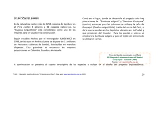 SELECCIÓN DEL BAMBU 
En sten más de 1 es de   y en 
el  Perú  existen  8  géneros  y    nativas*(18).  La  
“G e  las 
 
gú   en 
99 nes 
e  chas 
isp ores 
roporcion
 
 
 
 
 
provienen  del  Ecuador.    Para  los  parales  y  soleras  se 
eara la bambusa vulgaris y para el tejido del entramado 
  continuación  se  presenta  el  cuadro  descriptivo  de  las  espe r  en  el  diseño  del  proyecto  arquitectónico.
 la naturaleza exi 250 especi bambú
42  especies
uadua  Angustifolia”  está  considerada  como  una  d
mejores para ser usada en la construcción. 
Se
1
n  estudios  hechos  por  el  investigador  JUDZIEWICZ
9, señala que en América Latina se dispone de 11 millo
Hectáreas  cubiertas  de  bambú,  distribuidas  en  man
ersas.  Esta  gramínea  e  encuentra  en  may
es en Colombia,   y Venezuela. 
d
d
p
s
Ecuador
Como  en  el  lugar,  donde  se  desarrolla  el  proyecto  solo  hay
lantaciones  de    “Bambusa  vulgaris”  y  “Bambusa  Chusquea”
arrizo);  entonces  para  las  columnas  se  utilizara  la  caña  de
aquil (Guadua Angustifolia), traída del norte del Perú, o
 que se venden en los depósitos ubicados en  la Ciudad y
p
(c
Guay
de la
que 
empl
se utilizar
 
 
 el carrizo.  
 
 
cies  a  utiliza
Tipos de Bambú encontrados en el Perú
III Simposio Latinoamericano del Bambú
Guayaquil – Ecuador (2005)
Fuente: www.perubambu.org.pe
‐  Takahashi, Josefina Articulo “El Bambú en el Perú”‐ Pág. web: www.perubambu.org.pe 292005.*(18).
A
 